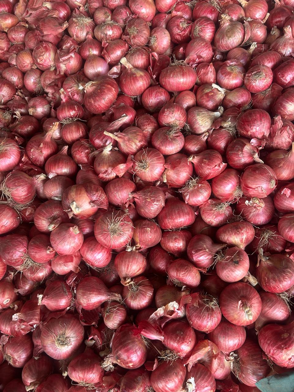 Red Onion
